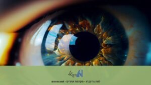 Entity SEO בעידן ה-AI: איך גוגל, ChatGPT ו-Perplexity מזהים את המותג שלכם